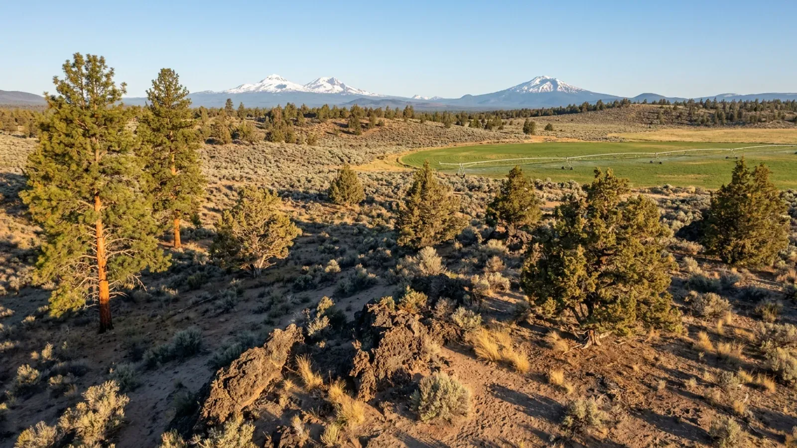 Central Oregon high desert with sagebrush, western juniper and ponderosa pine, an irrigated field and snow-capped Cascade peaks on the horizon.