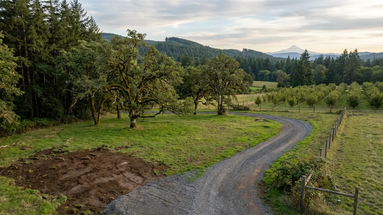 Aerial view of an undeveloped rural lot with cleared grass, spreading oaks, a Douglas-fir woodlot along one side and a gravel access track.