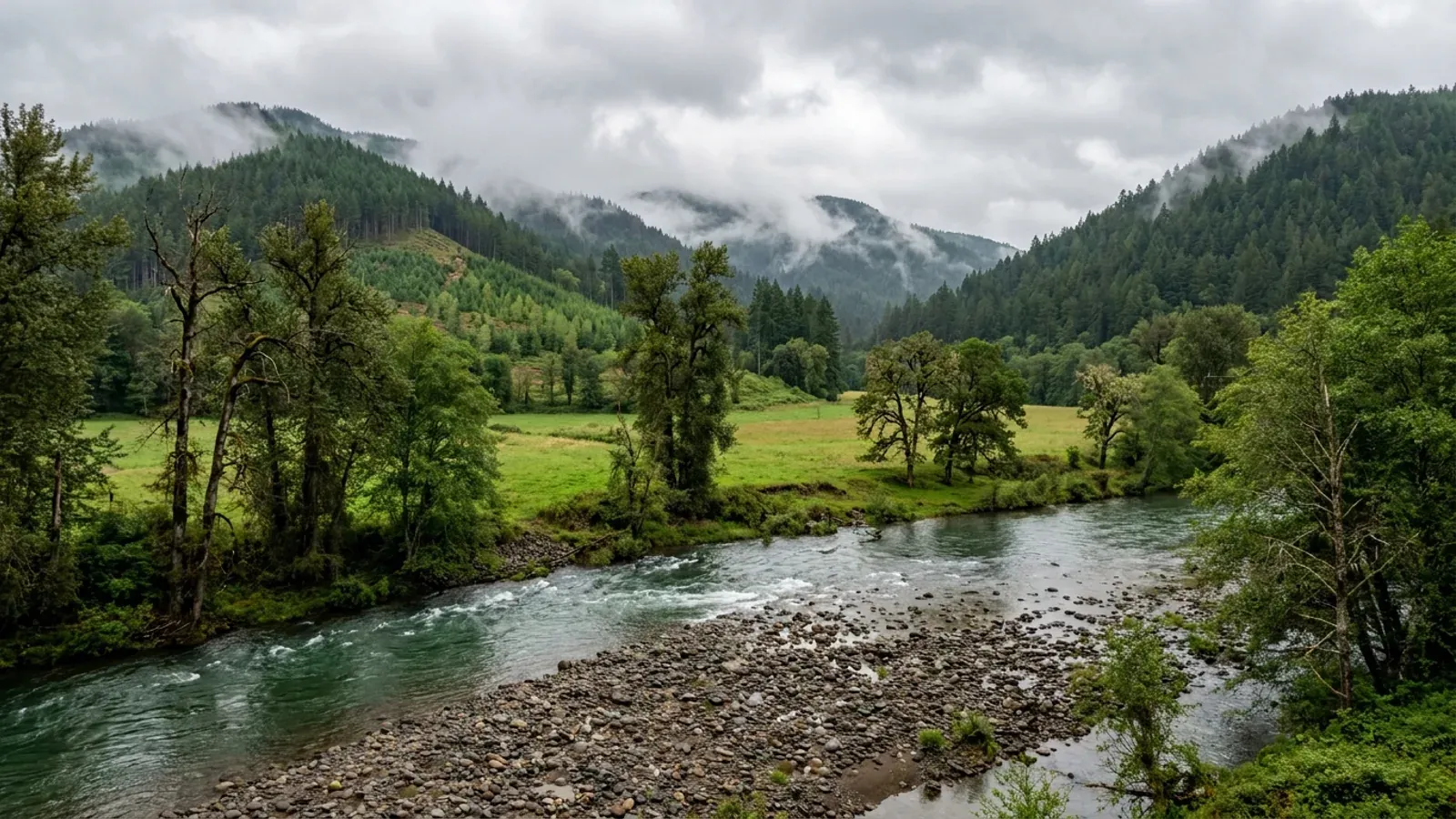 A clear river over a cobble bar in a narrow Lane County valley, with bottomland pasture and steep Douglas-fir hills under low cloud.